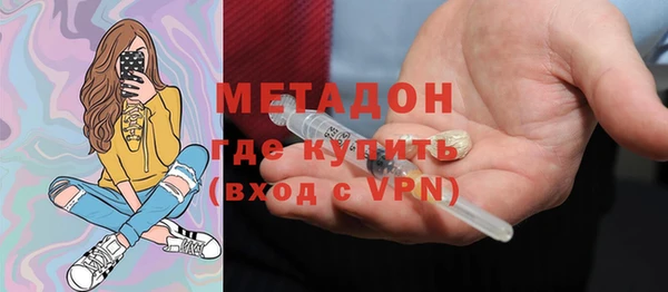 прущие грибы Арсеньев