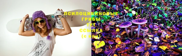 соль ск Аркадак